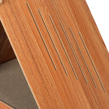 Leo Cat Scratching House